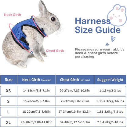 Bunny Rabbit Harness with Stretchy Leash Cute Adjustable Buckle Breathable Mesh Vest for Kitten Small Pets Walking (S(Chest:9.8-12.5 In), Blue)