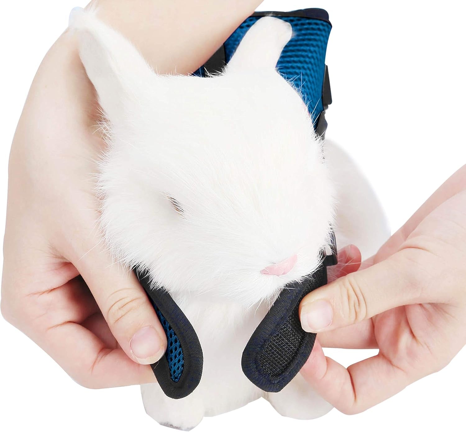 Bunny Rabbit Harness with Stretchy Leash Cute Adjustable Buckle Breathable Mesh Vest for Kitten Small Pets Walking (S(Chest:9.8-12.5 In), Blue)